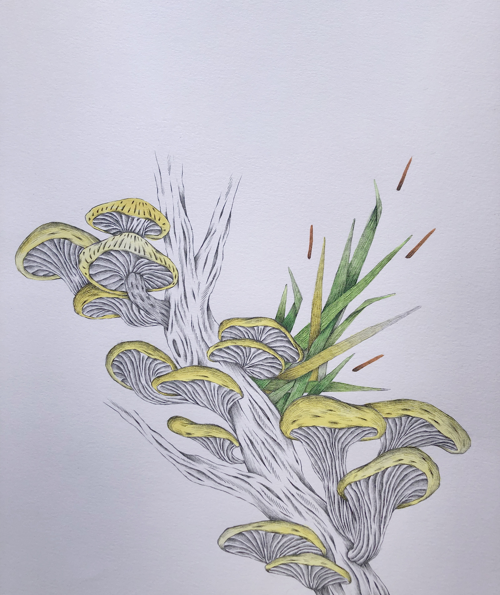 Angie Jerez artwork