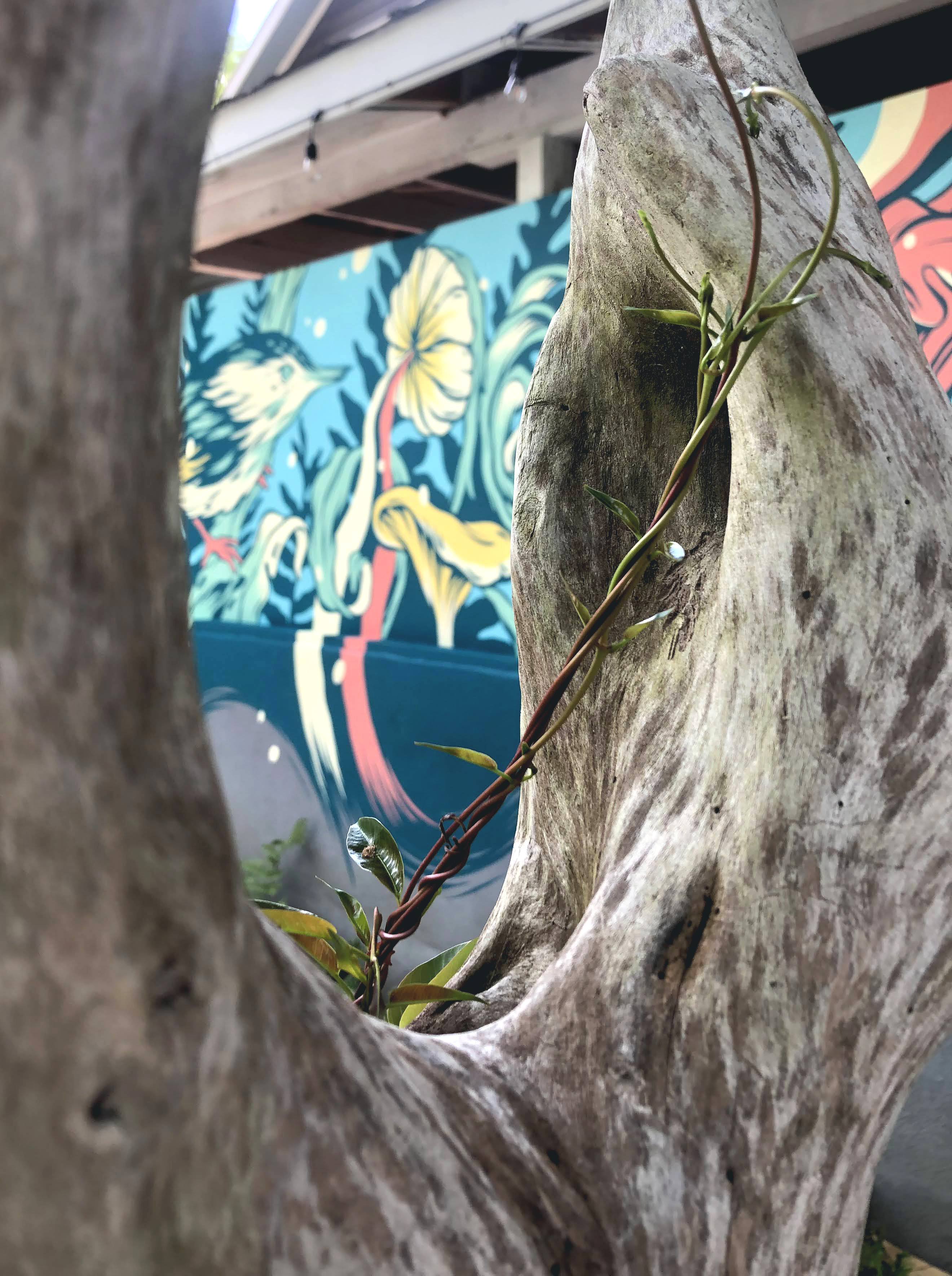 el patio, Atlanta, GA, 2022