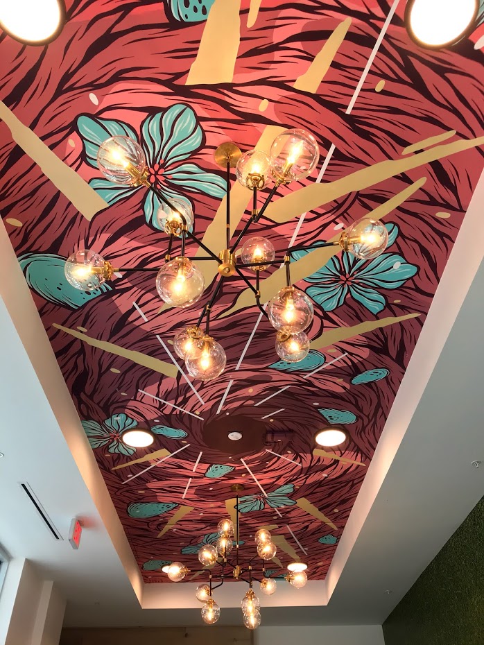 Upside down nest., Orlando, FL, 2020